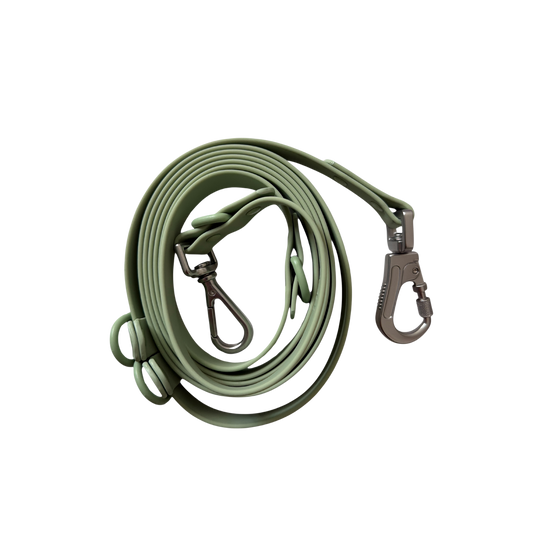 Sport Dog Leash Waterproof