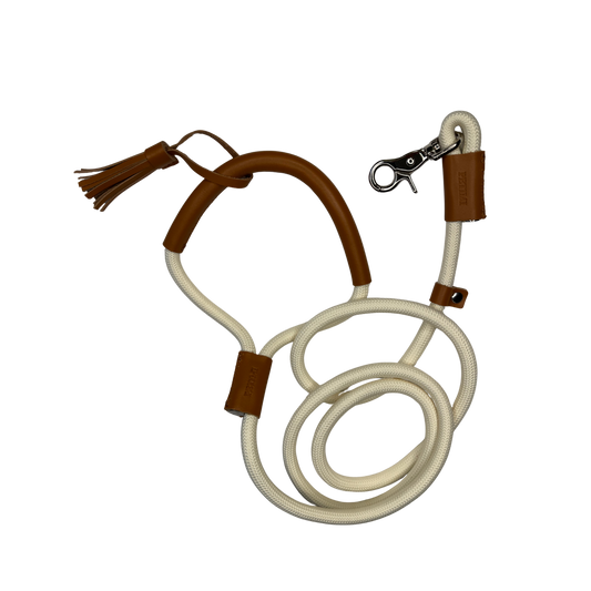 Nylon Dog Leash with Vegan Leather Handle